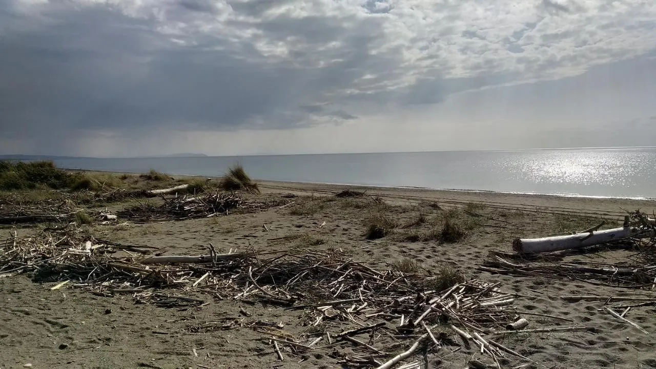 Dimora Beach Cecina  Italy
